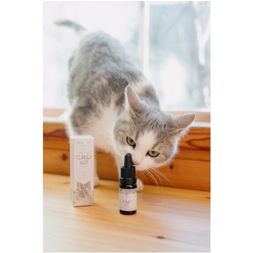 Meliora CBD olaj macskáknak 3%