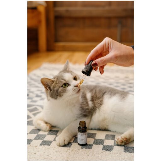 Meliora CBD olaj macskáknak 3%