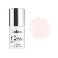 Kabos Gelike hibrid géllakk Anemone